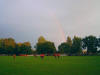 Alle Farben des Regenbogens - nur f�r Lok!
