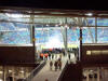 Konfetti f�r Sieger Schalke