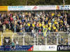 Gelbe LOK-Fans auf der Geraden