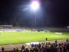 Links im Bild ca. 30 G�stefans