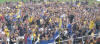 �berall LOK-Fans...