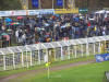 �berall blaugelbe Regenschirme
