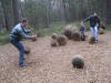 Ballspiele