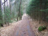 Der Waldweg zum Waldstadion
