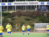 Lockeres Auslaufen im Wald (-stadion)