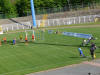 Borea unter Druck