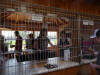Hinter Gittern: Der Imbissstand...