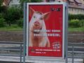 stuttgart25-280506_008.jpg