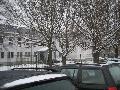 img_1755.jpg