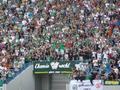 fcsachsen230809-20.jpg
