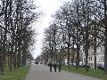 img_1831.jpg