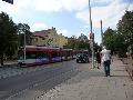 p1010187.jpg