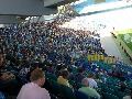 p1010341.jpg