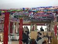 p1000154.jpg