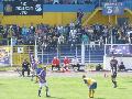 p1040074.jpg
