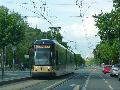 p1040098.jpg