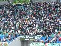 p1040046.jpg