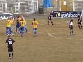 p1030863.jpg
