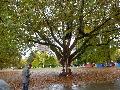 p1030554.jpg