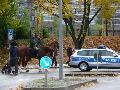 p1030565.jpg