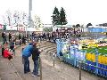 p1010197.jpg
