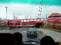 p1050673a.jpg
