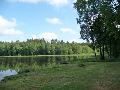 p1040393.jpg