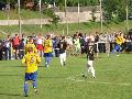 p1040418.jpg