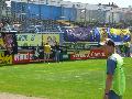 p1010650.jpg