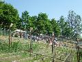 p1030745.jpg
