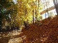 p1070112.jpg