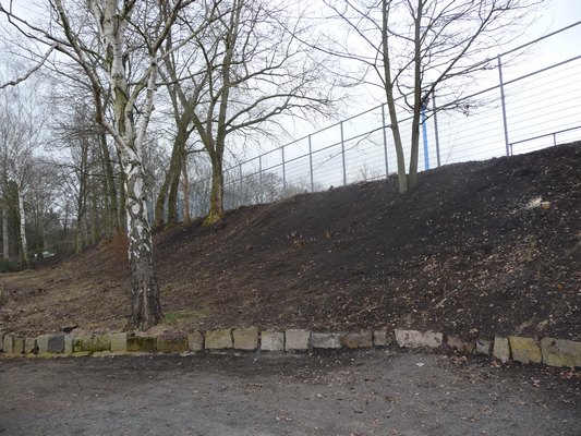 p1100883.jpg
