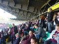 bfc-bak021114-05.jpg