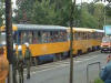 Dresdner in der Tram nach dem Spiel